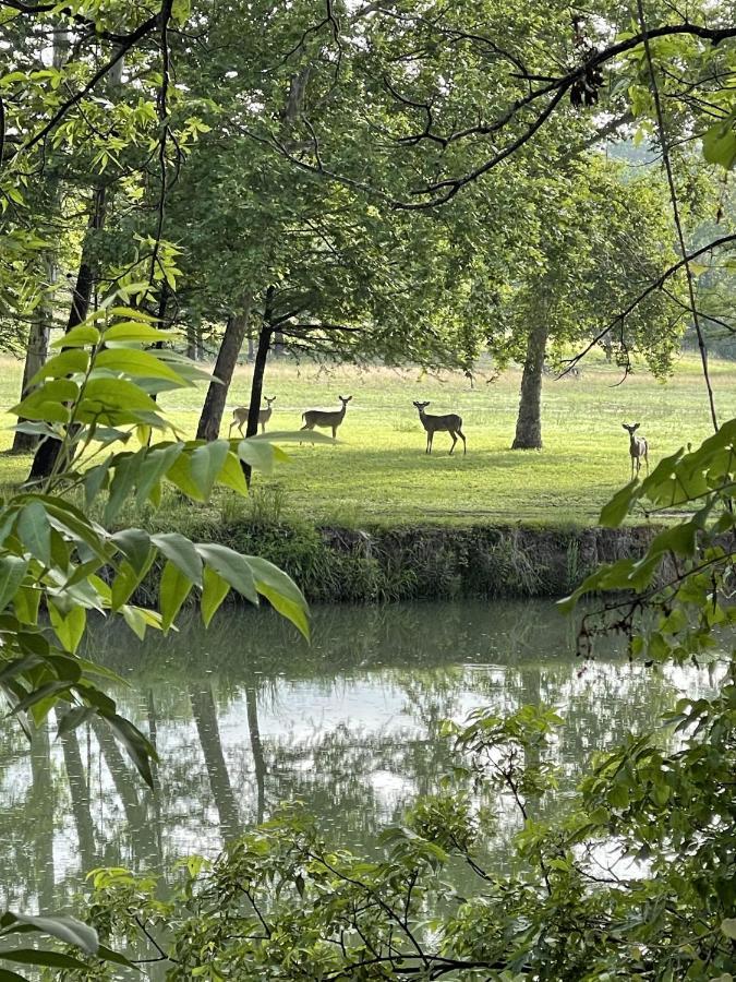 Htr Tx Hill Country Campground Kerrville Eksteriør bilde